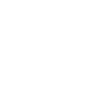 Sentinel role icon