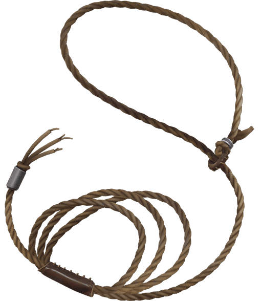 Neo Frontier Lasso VALORANT skin