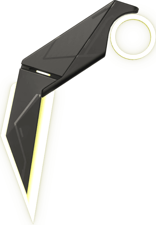 Minima Karambit VALORANT skin