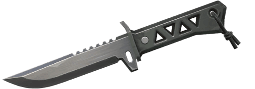 Xenohunter Knife VALORANT skin